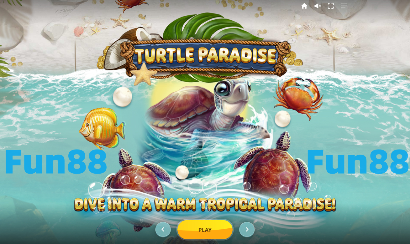 Turtle Paradise